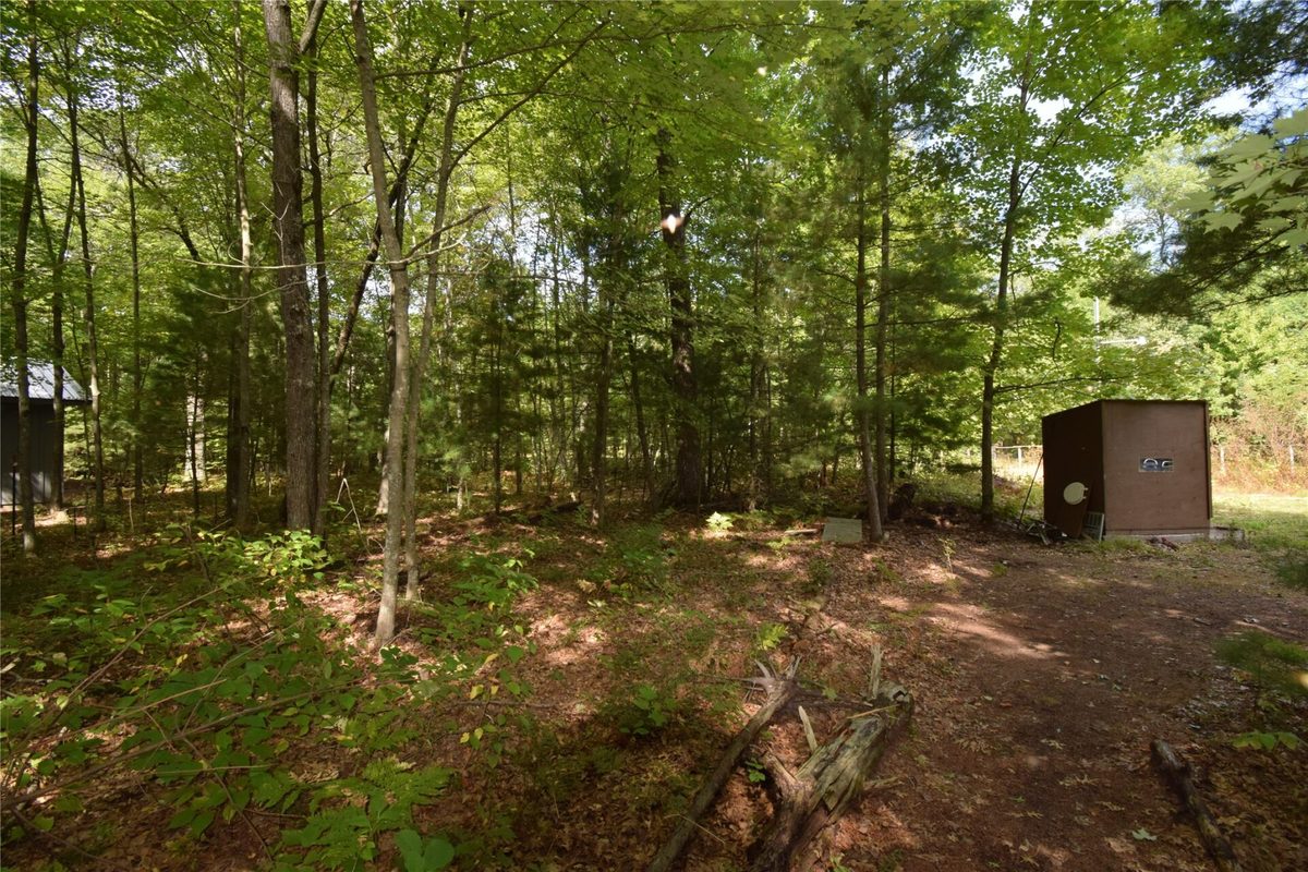 6703 Jamesway Road, Siren WI 54872 - Land house for sale - MLS #1604789 - image11