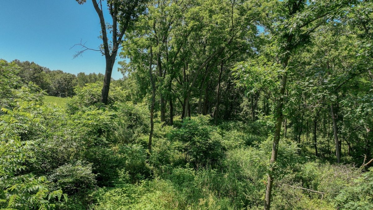 00 Garves Coulee Road, Bangor WI 54614 - Land house for sale - MLS #1603270 - image14