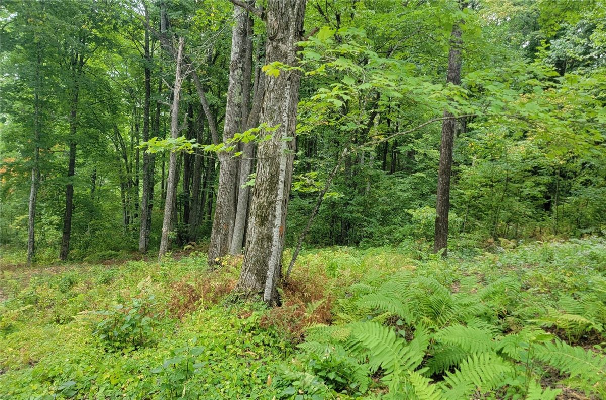 5522N County Highway G, Winter WI 54896 - Land house for sale - MLS #1605127 - image13