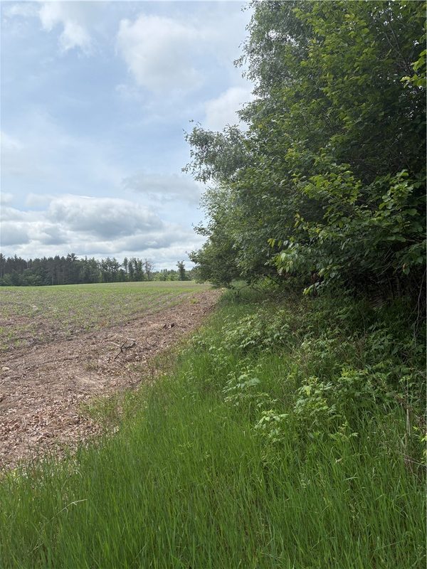 0 Walkers Road, Humbird, WI