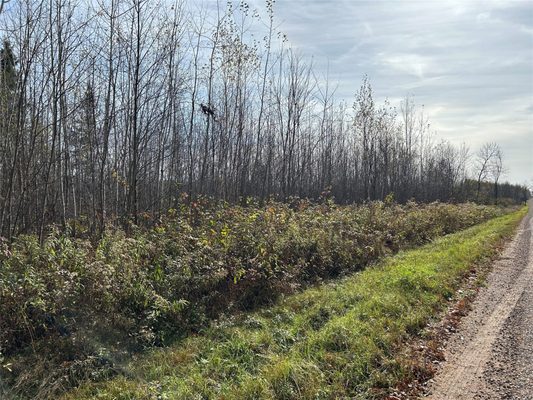 On Sheep Camp Road  Ladysmith WI 54848