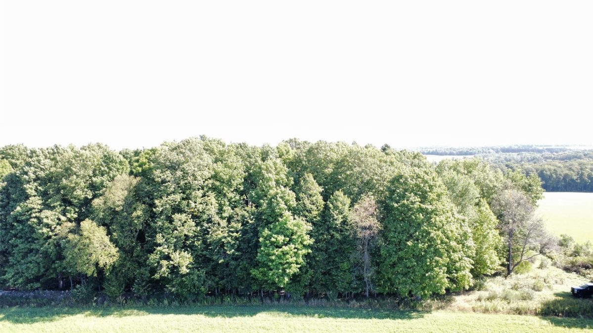 OOO County Road L, Merrill WI 54452 - Land house for sale - MLS #1605059 - image2