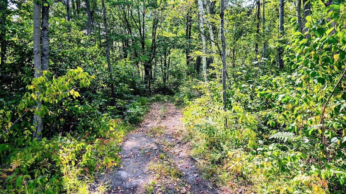 W8185 County Road J, Ladysmith WI 54848 - Land house for sale - MLS #1604406 - image27