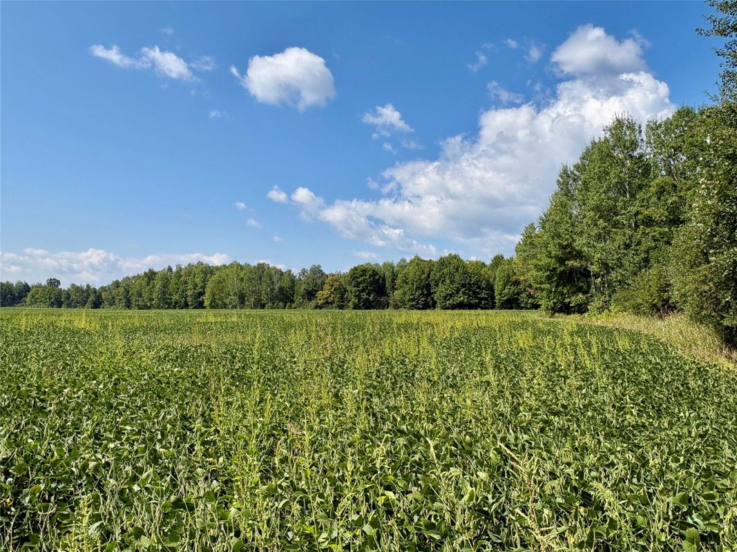 W16860 Cty Rd D, Sheldon WI 54766 - Land house for sale - MLS #1604631 - image37
