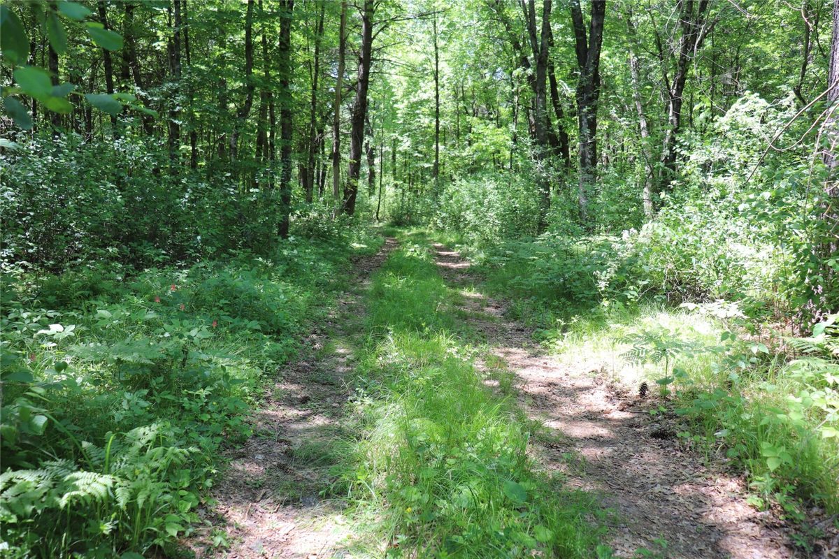 N7280 Waters Edge Road, Black River Falls WI 54615 - Residential house for sale - MLS #1601969 - image36