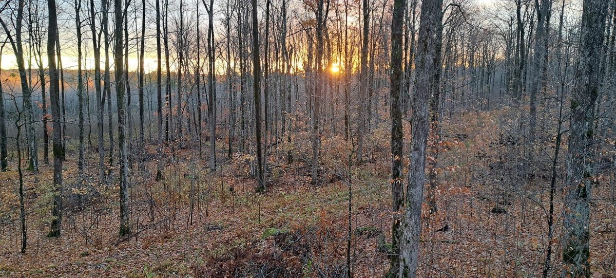 XXX Eckel Lane, Couderay WI 54835 - Land house for sale - MLS #1603143 - image13