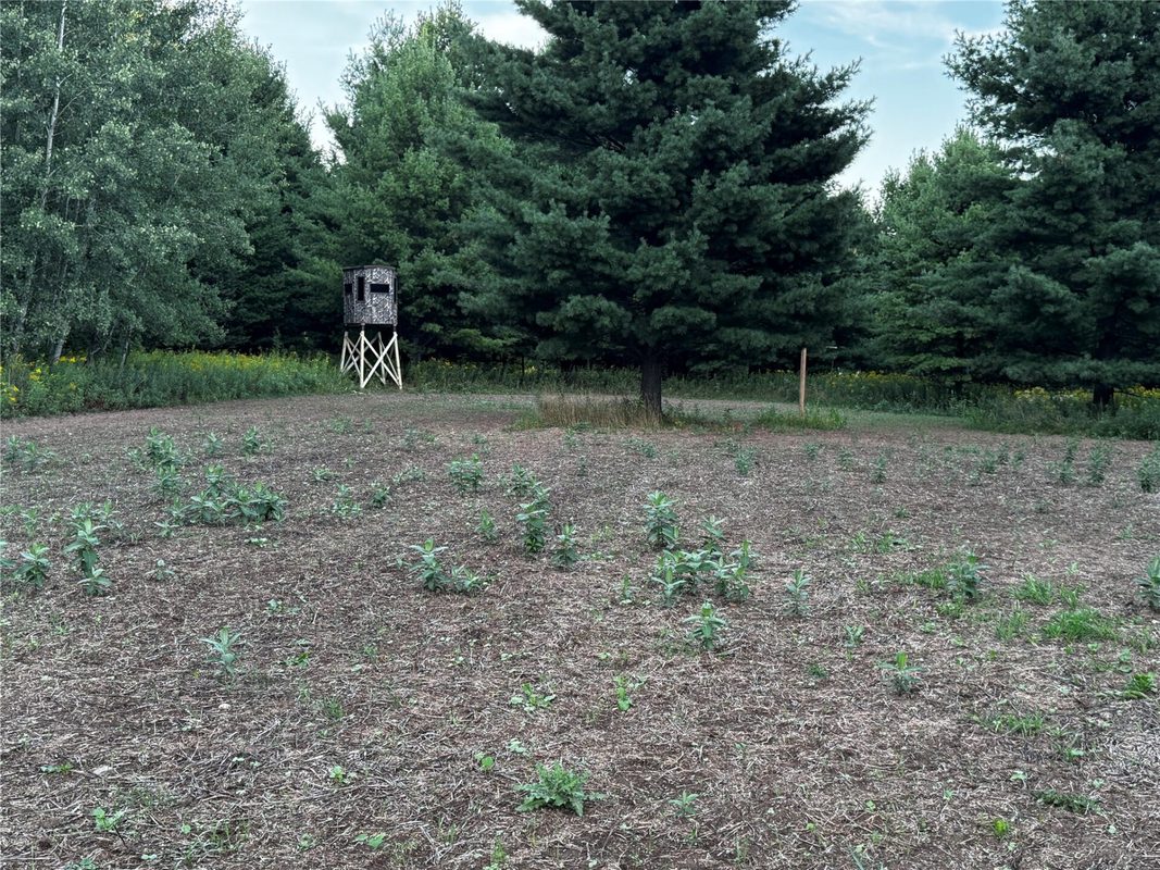 xxx 340th Avenue, Lewis WI 54837 - Land house for sale - MLS #1604783 - image27