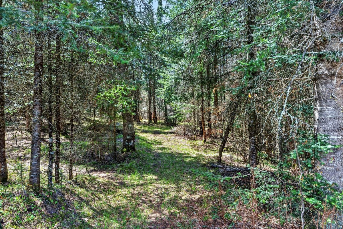 8225 Blaisdell Lake Road, Winter WI 54896 - Land house for sale - MLS #1600828 - image19