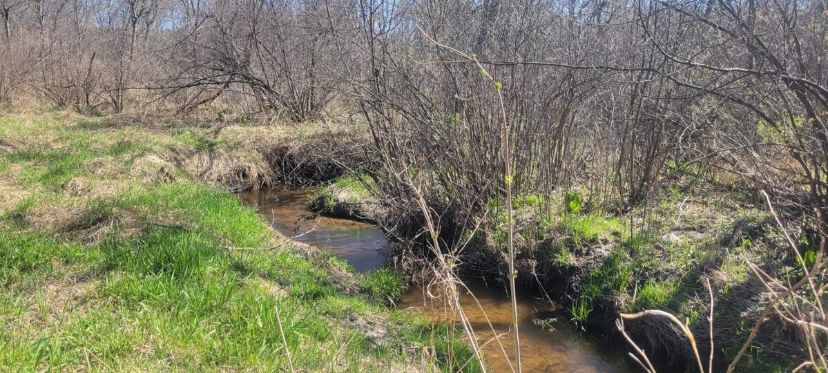 W14103 County P Highway, Taylor WI 54659 - Land house for sale - MLS #1600415 - image5