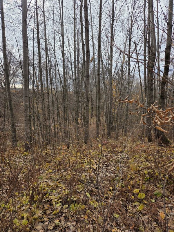 On Hwy 48 Rice Lake WI 54868 — photo 3
