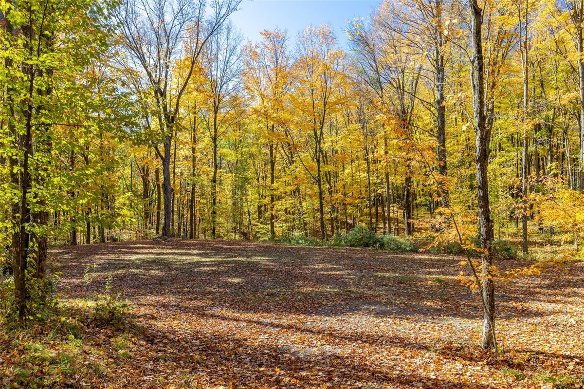 W5957 Happy Acres Road Tony WI 54563 - image25