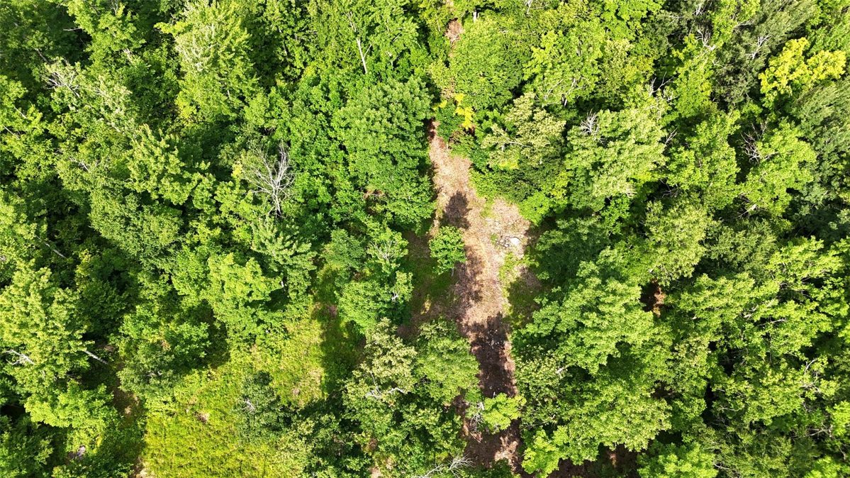 XXX Eckel Lane, Couderay WI 54835 - Land house for sale - MLS #1603143 - image14