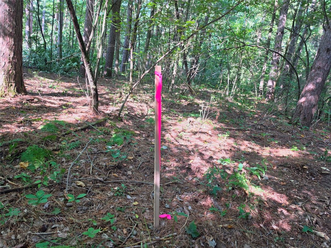 0 Country Road C Lot 1, Elk Mound WI 54739 - Land house for sale - MLS #1604589 - image14