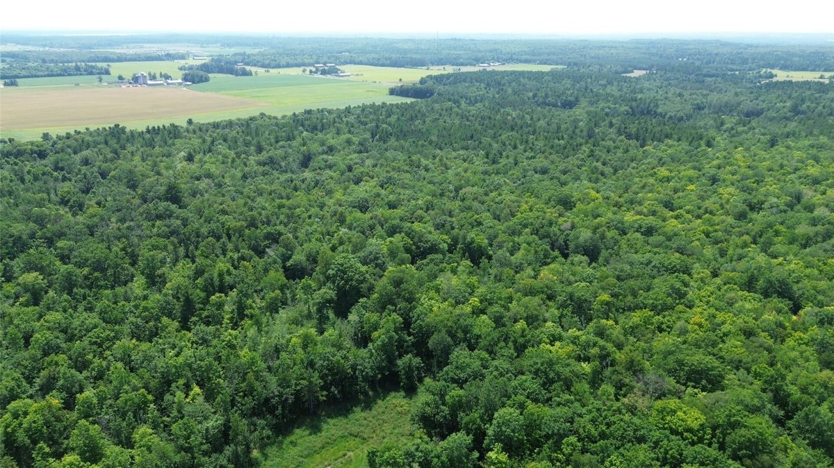 13743W State Highway 77, Hayward WI 54843 - Land house for sale - MLS #1603311 - image4