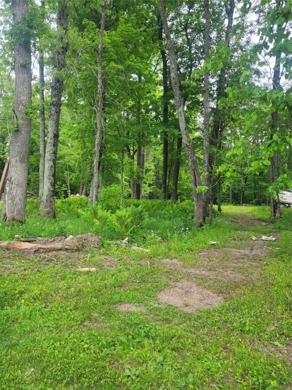 N899 Resewood, Neillsville WI 54456 - Land house for sale - MLS #1597252 - image14