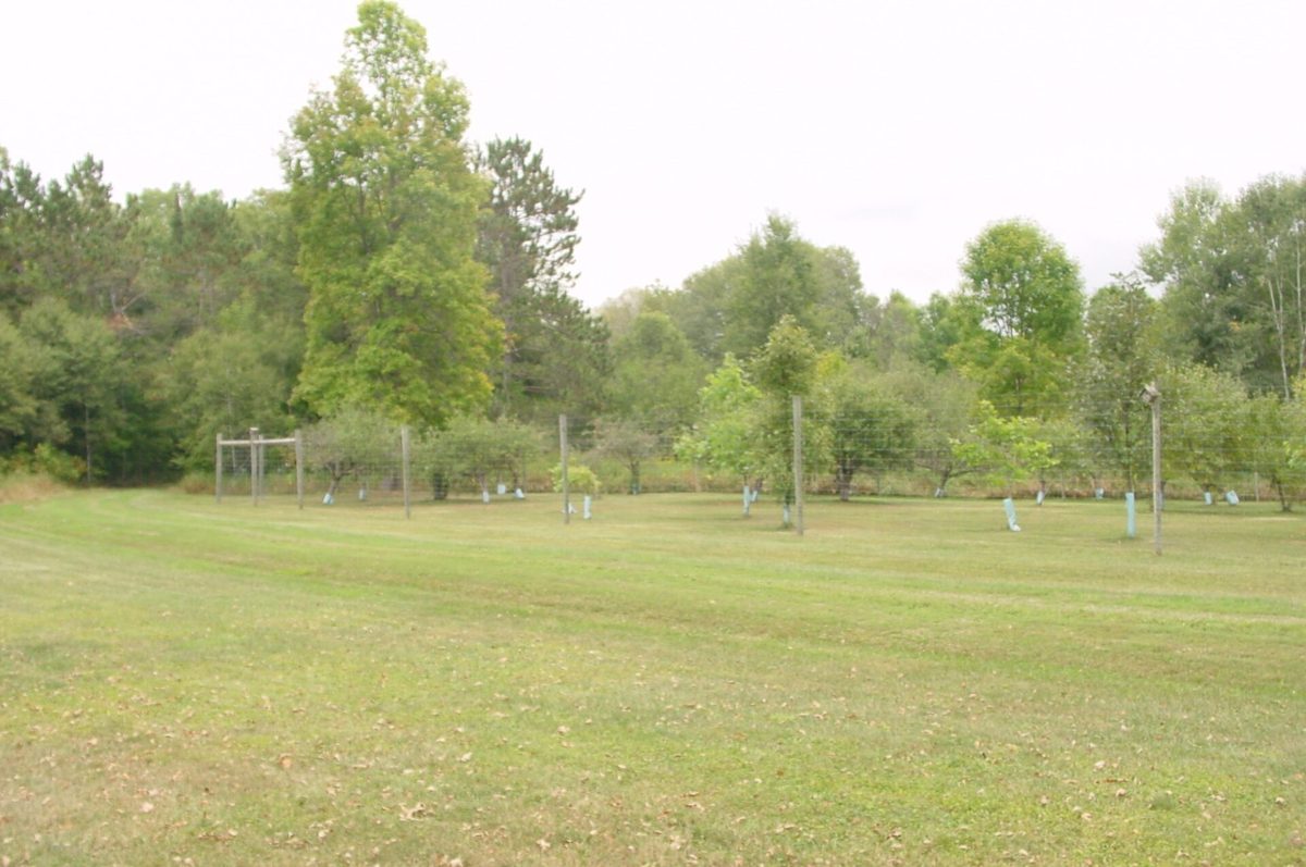 N5391 Hwy. 73, Ingram WI 54526 - Residential house for sale - MLS #1604886 - image50