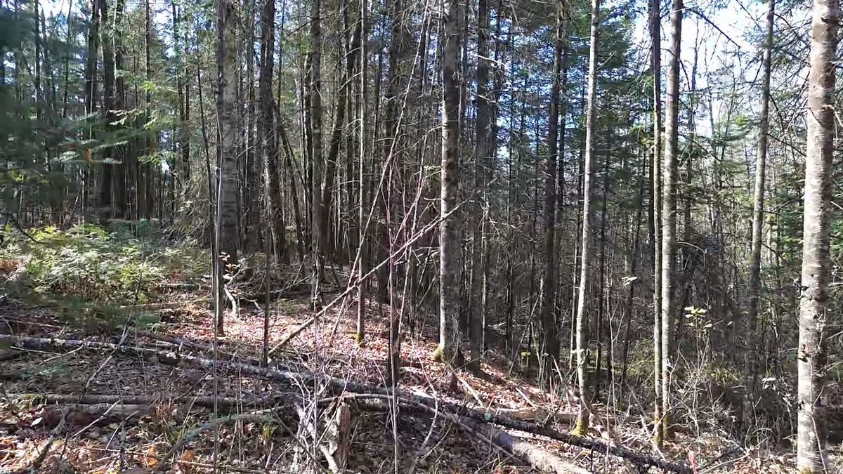 127XX State Highway 70, Couderay WI 54828 - Land house for sale - MLS #1606290 - image27