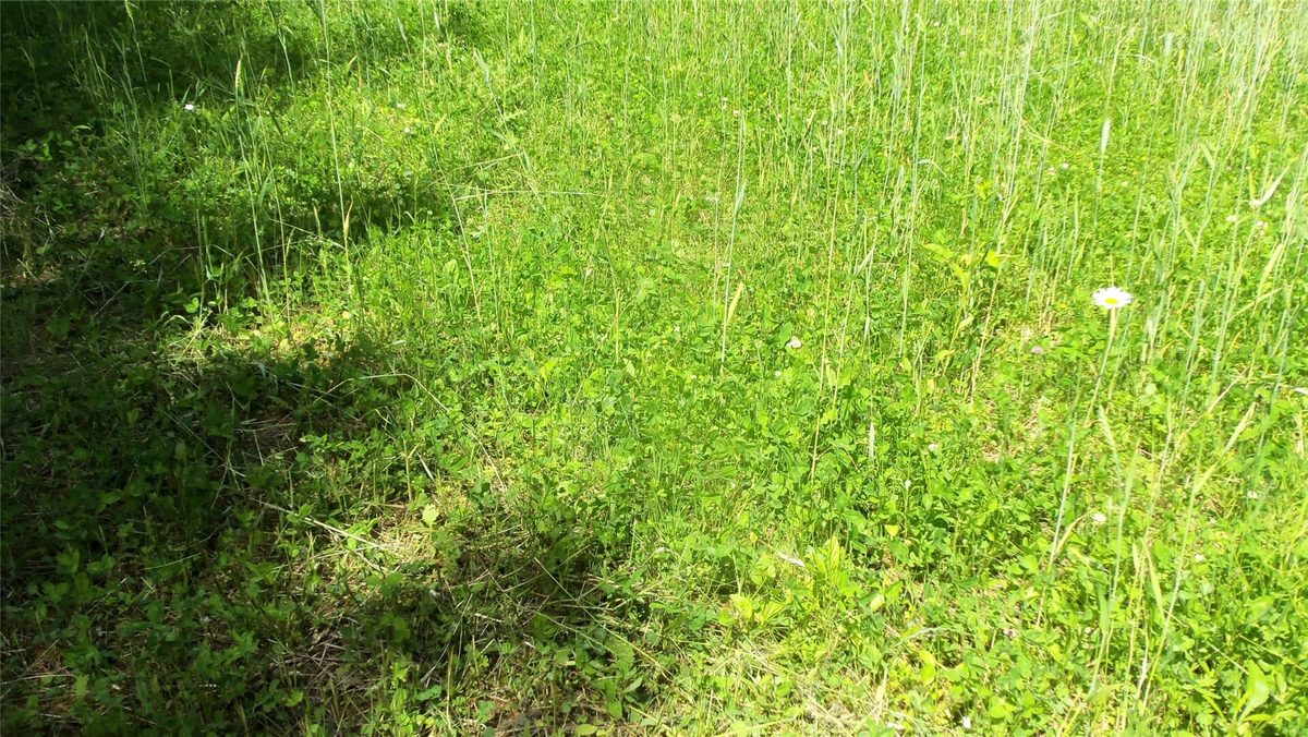 XXX Bashaw Store Road, Shell Lake WI 54871 - Land house for sale - MLS #1603494 - image31