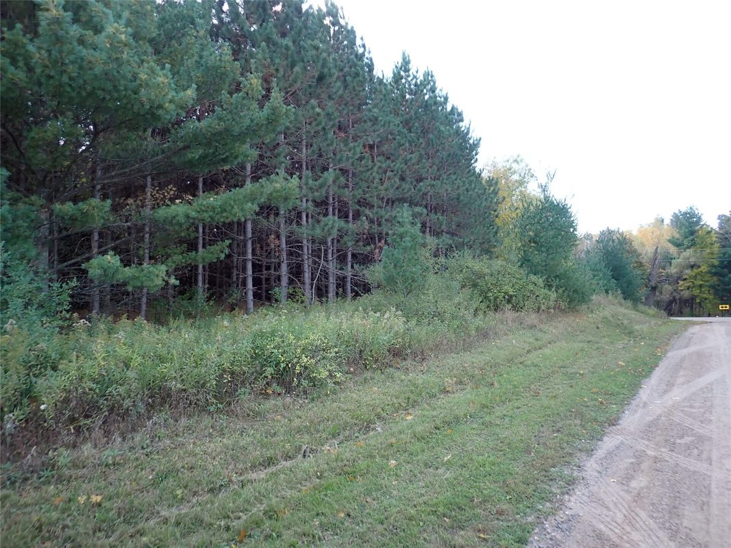 70.54 acres 26 1/2 St, Cumberland WI 54829 - Land house for sale - MLS #1605975 - image5