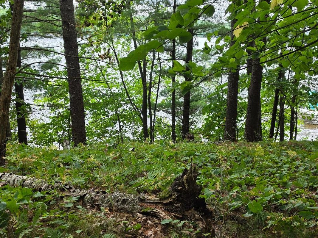 000 4th, Cumberland WI 54829 - Land house for sale - MLS #1606062 - image8