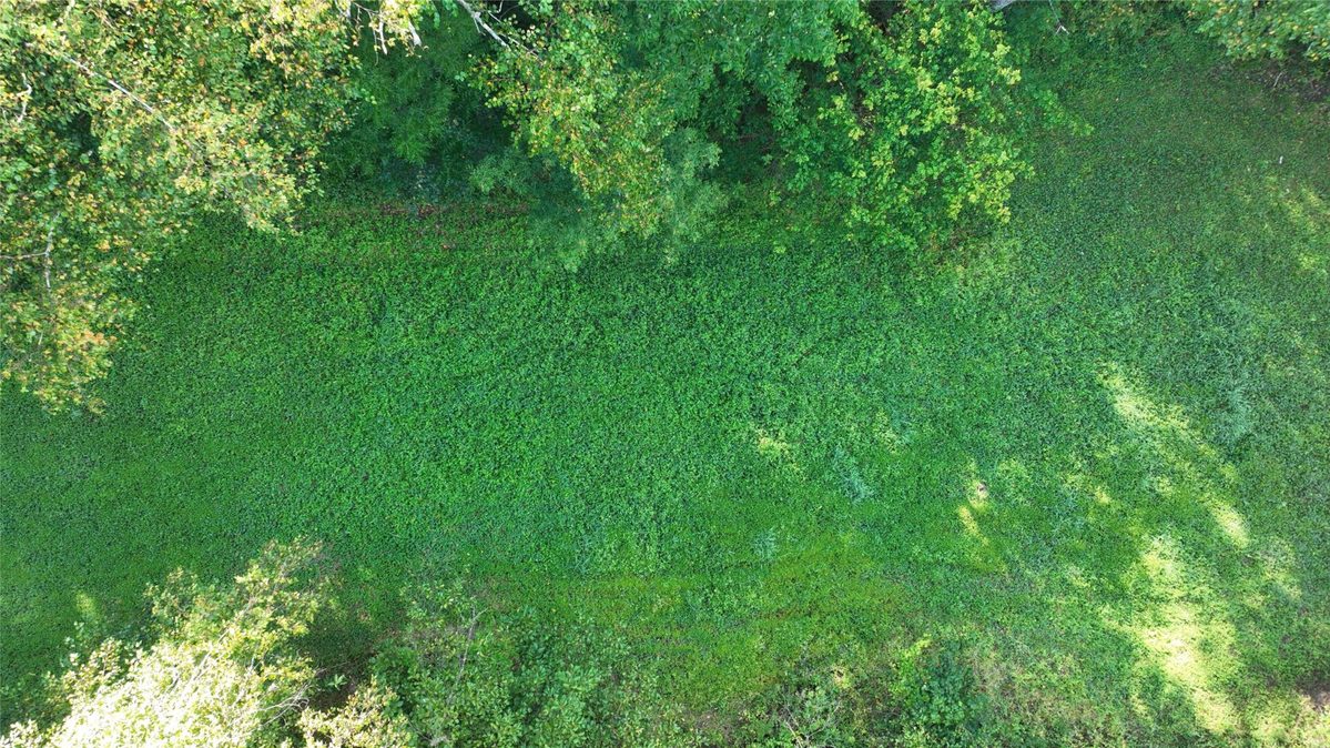 XX County Road O, Boyceville WI 54725 - Land house for sale - MLS #1604881 - image12
