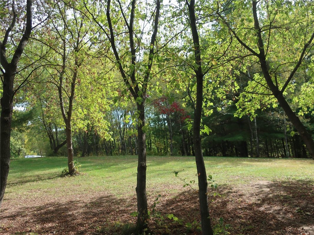 TBD Old 35, Siren WI 54872 - Land house for sale - MLS #1605520 - image2
