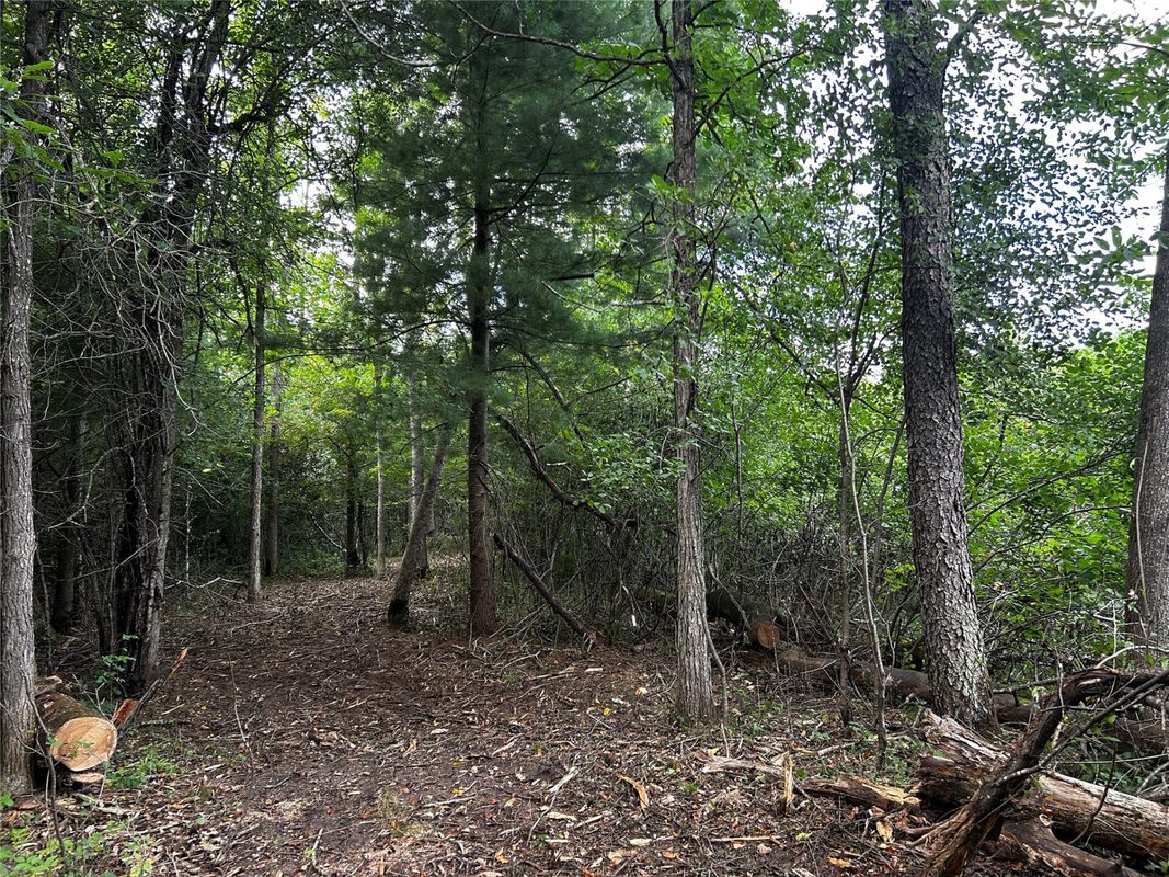 Lots 5 & 6 State Highway 70, Spooner WI 54801 - Land house for sale - MLS #1604806 - image45