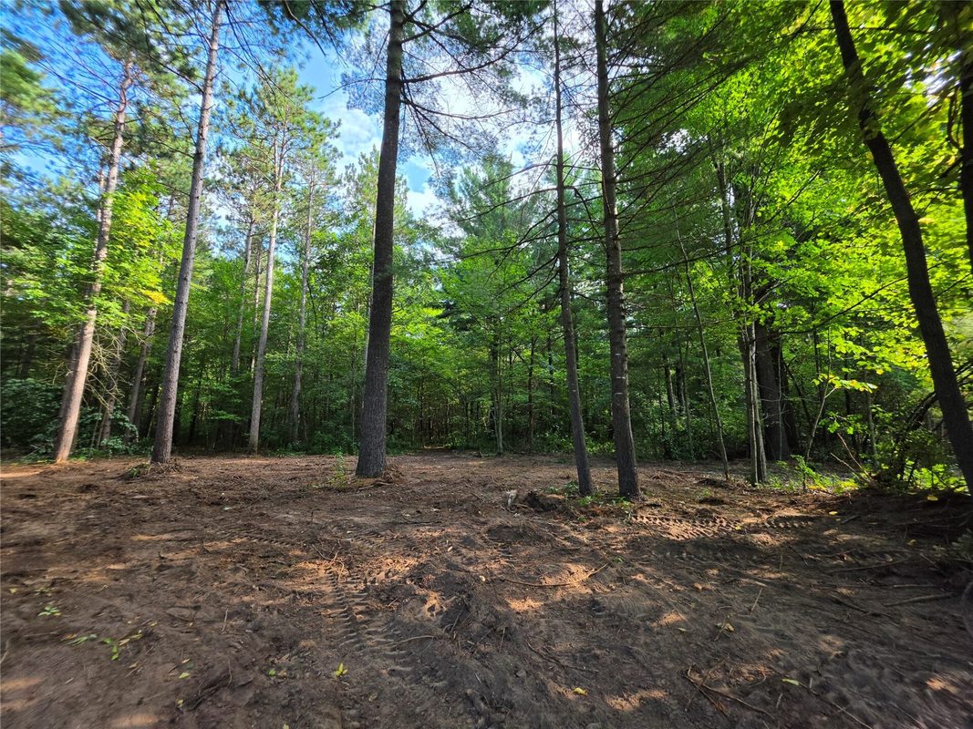 0 Country Road C Lot 1, Elk Mound WI 54739 - Land house for sale - MLS #1604589 - image8