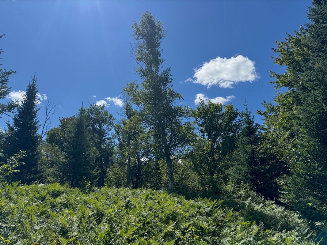 8143 Wright Road, Winter WI 54896 - Land house for sale - MLS #1594262 - image35