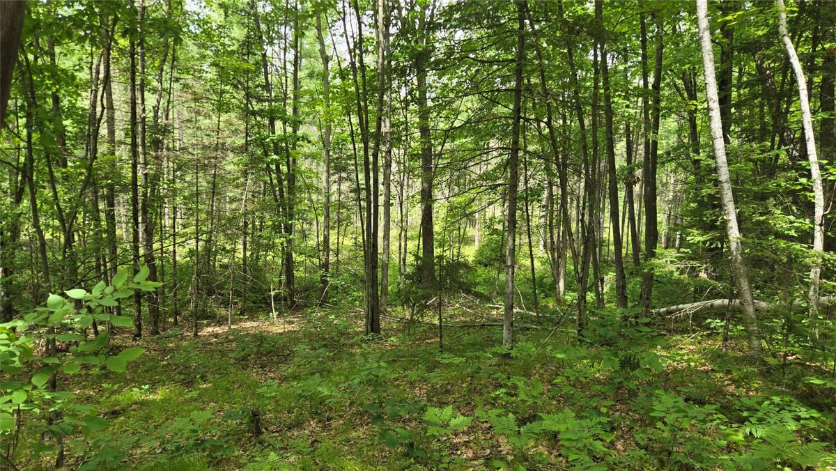 W11680 Jenness Road, Bruce WI 54819 - Residential house for sale - MLS #1602596 - image40