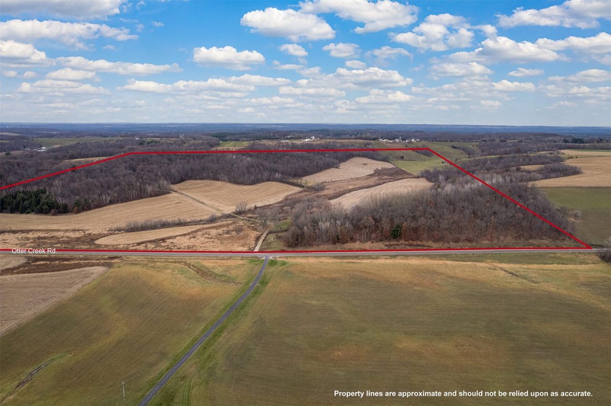 8700 Otter Creek Road, Fall Creek WI 54742 - Land house for sale - MLS #1602481 - image3