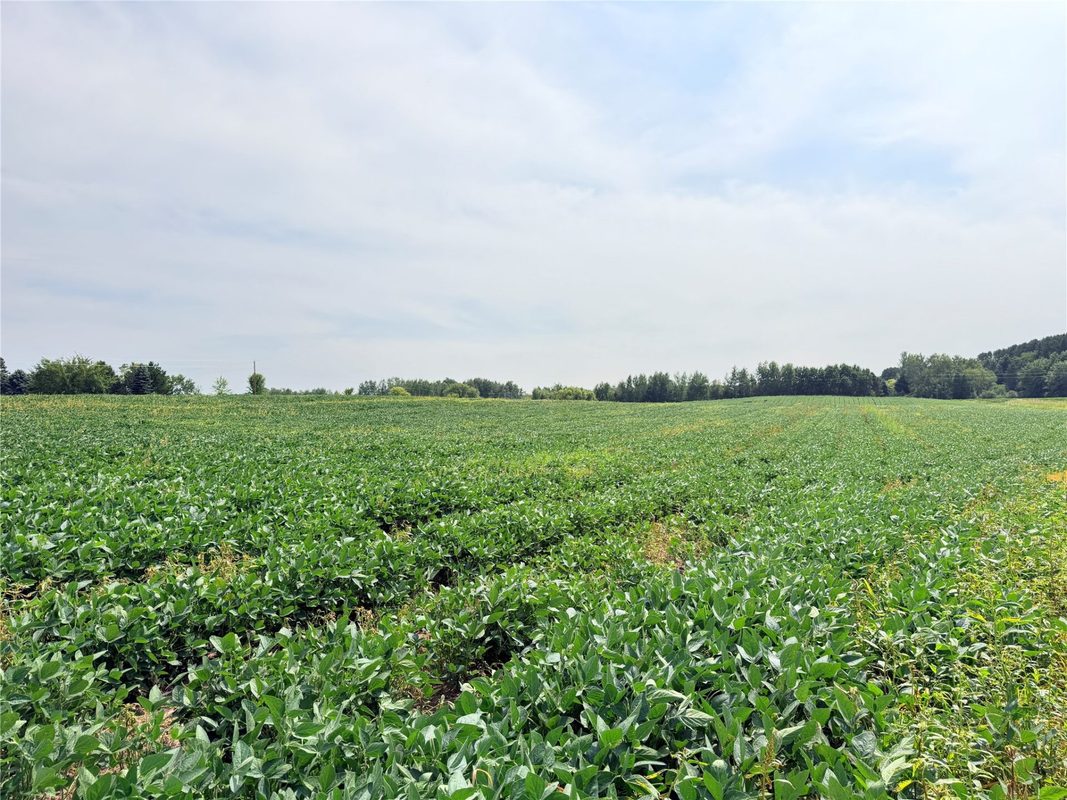 10 Acres Lot 4 230th Street, St Croix Falls WI 54024 - Land house for sale - MLS #1606210 - image17