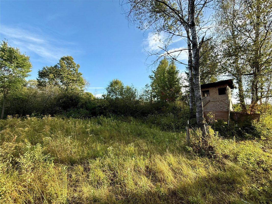 XX County Rd N, Kennan WI 54537 - Land house for sale - MLS #1605049 - image3