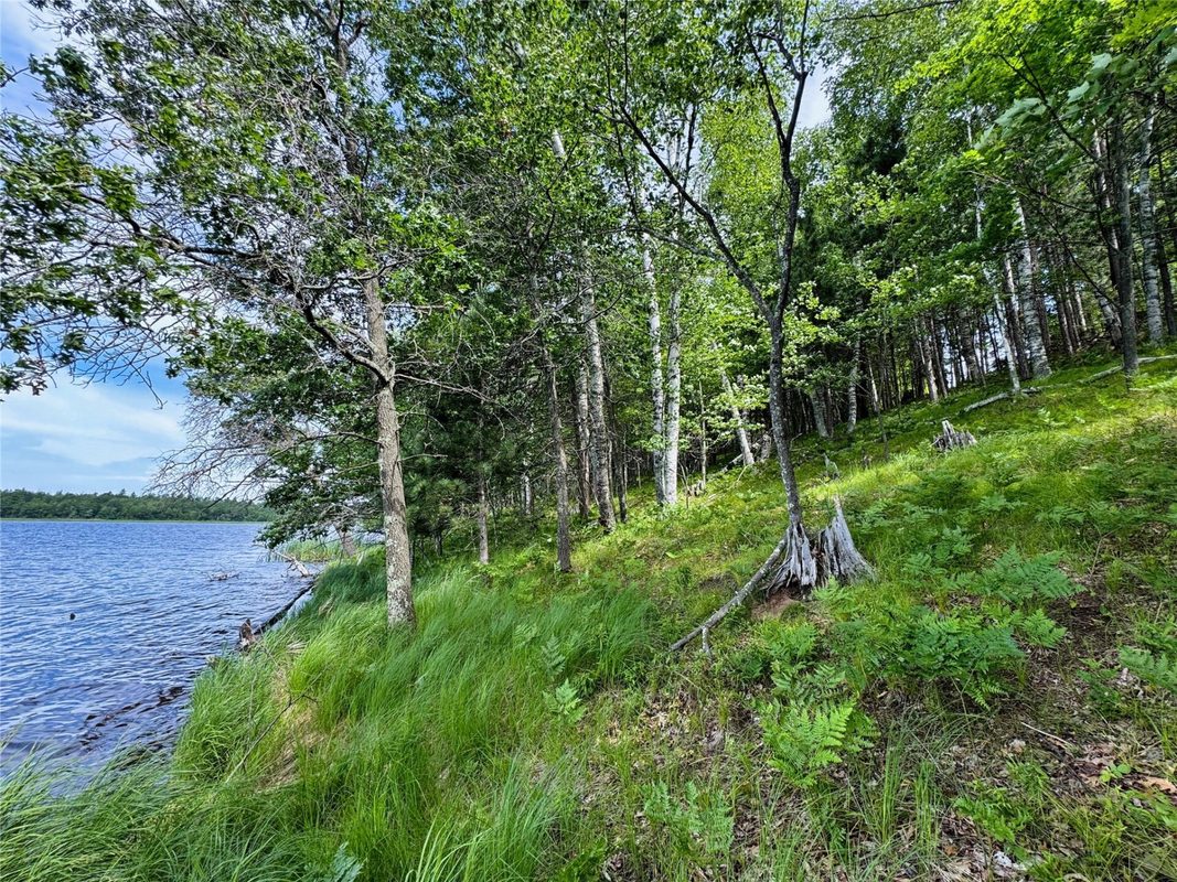 11149 Merganser Lane, Hayward WI 54843 - Land house for sale - MLS #1604672 - image6