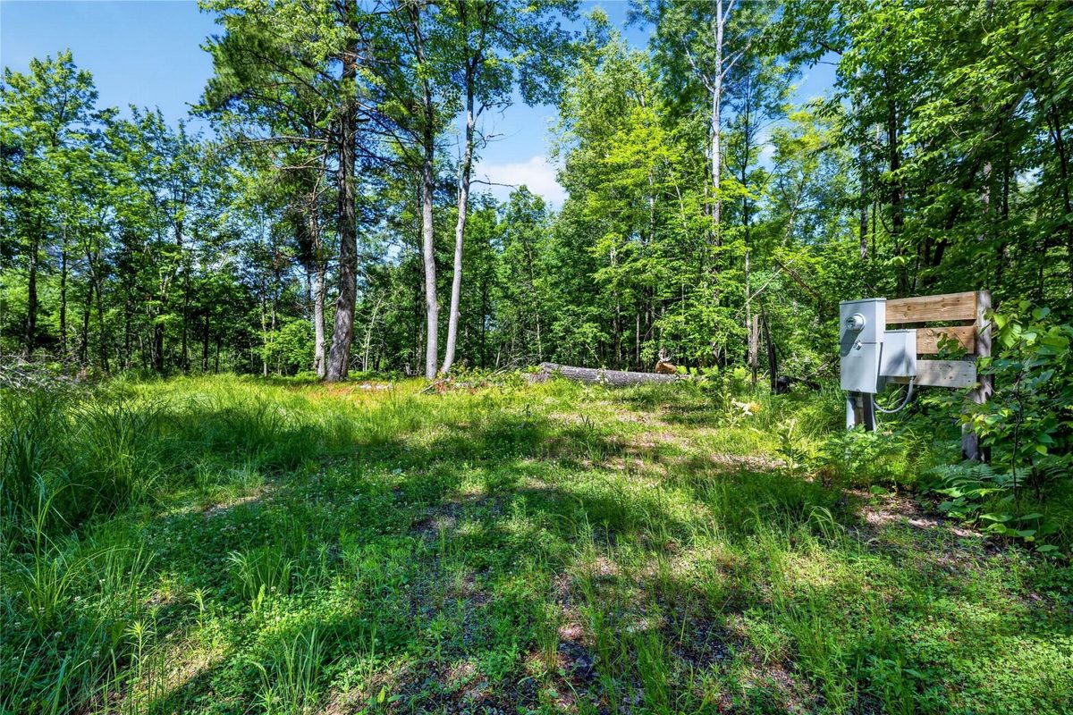 8.92 Acres Little Valley Road, Spooner WI 54801 - Land house for sale - MLS #1602426 - image6