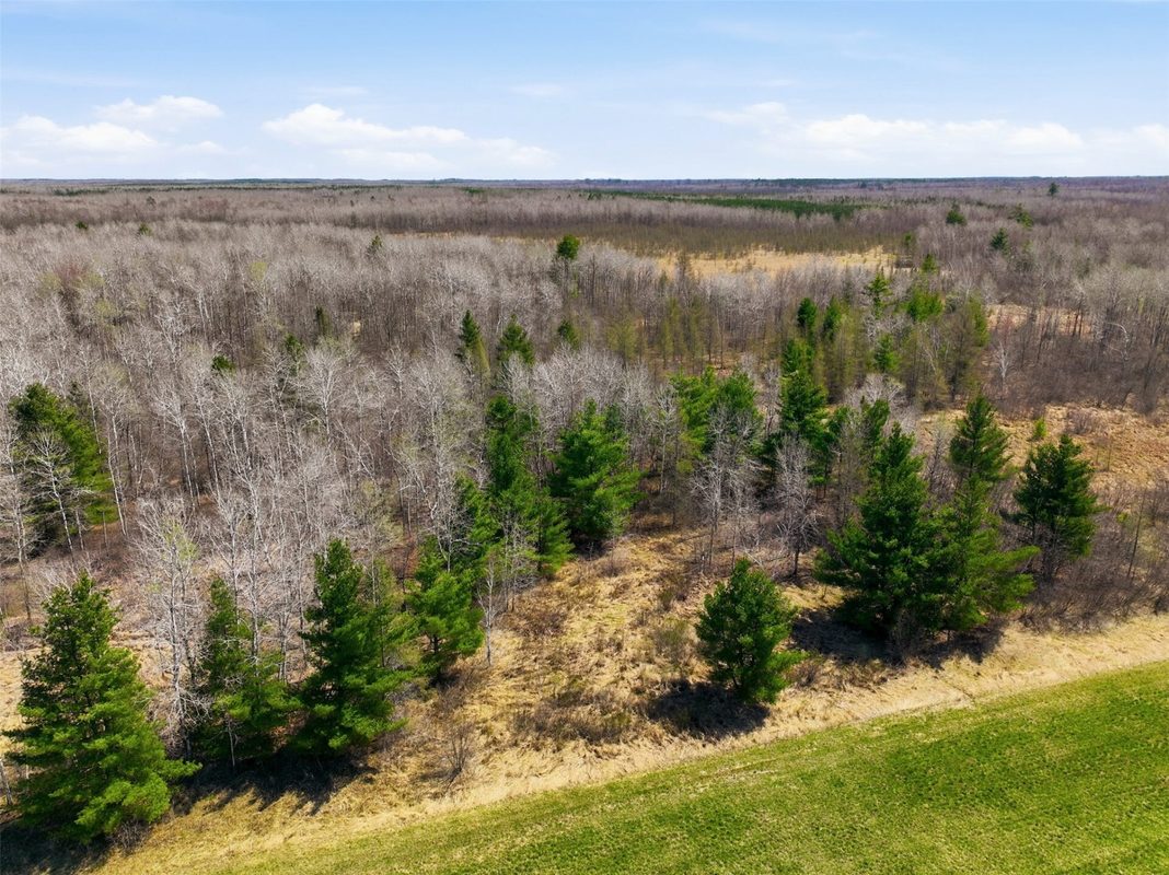 N4280 County Road E, Bruce WI 54819 - Land house for sale - MLS #1600428 - image15