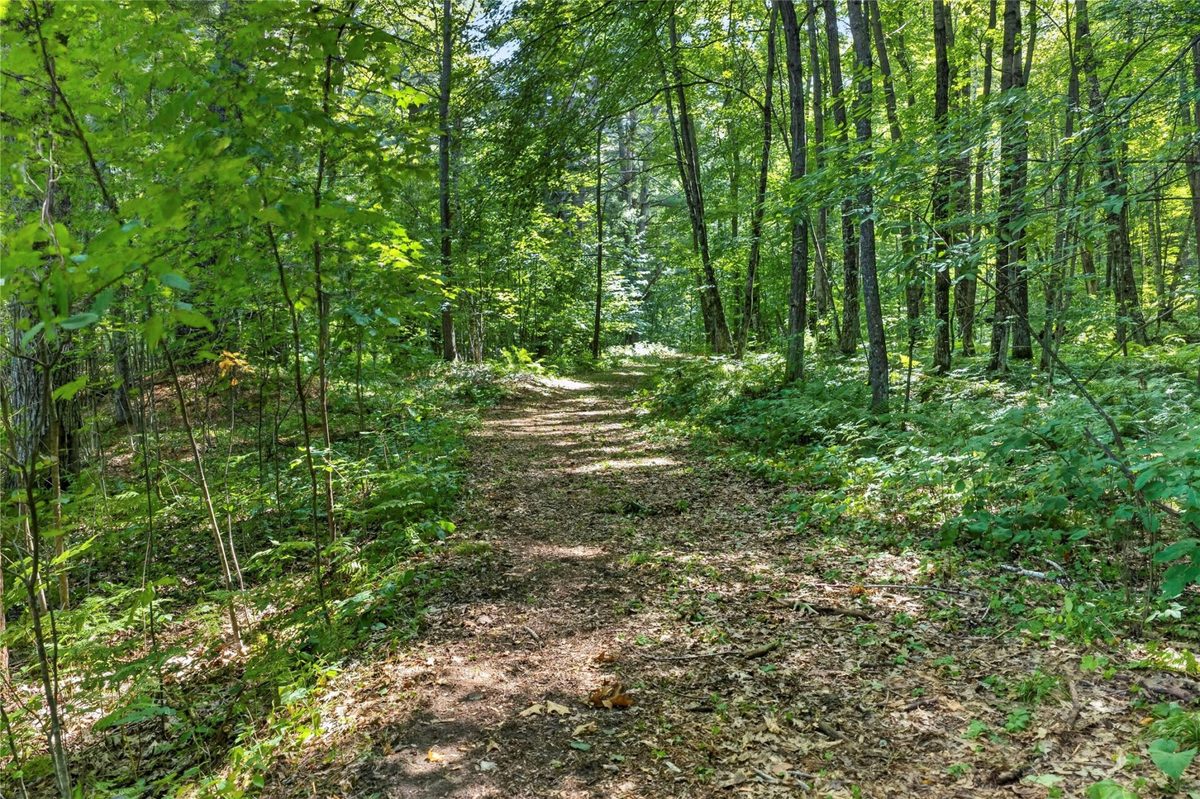 XXX County Hwy B, Shell Lake WI 54871 - Residential house for sale - MLS #1604550 - image39