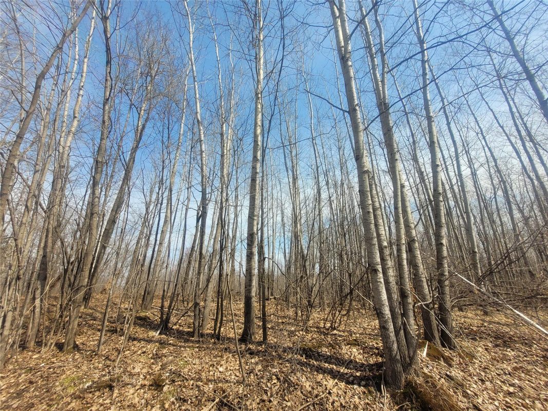 On Dean Road, Ladysmith WI 54848 - Land house for sale - MLS #1605065 - image2