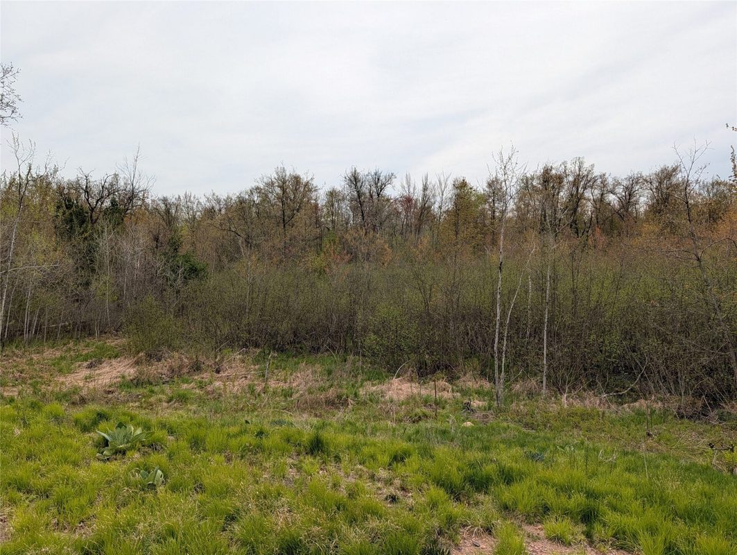 15573 Highway 64, Bloomer WI 54724 - Land house for sale - MLS #1601231 - image5