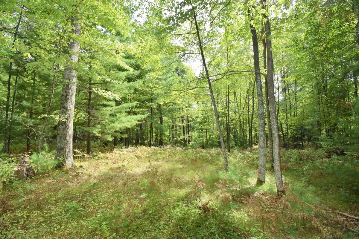 28206 Pardun Road, Danbury WI 54830 - Land house for sale - MLS #1604938 - image32