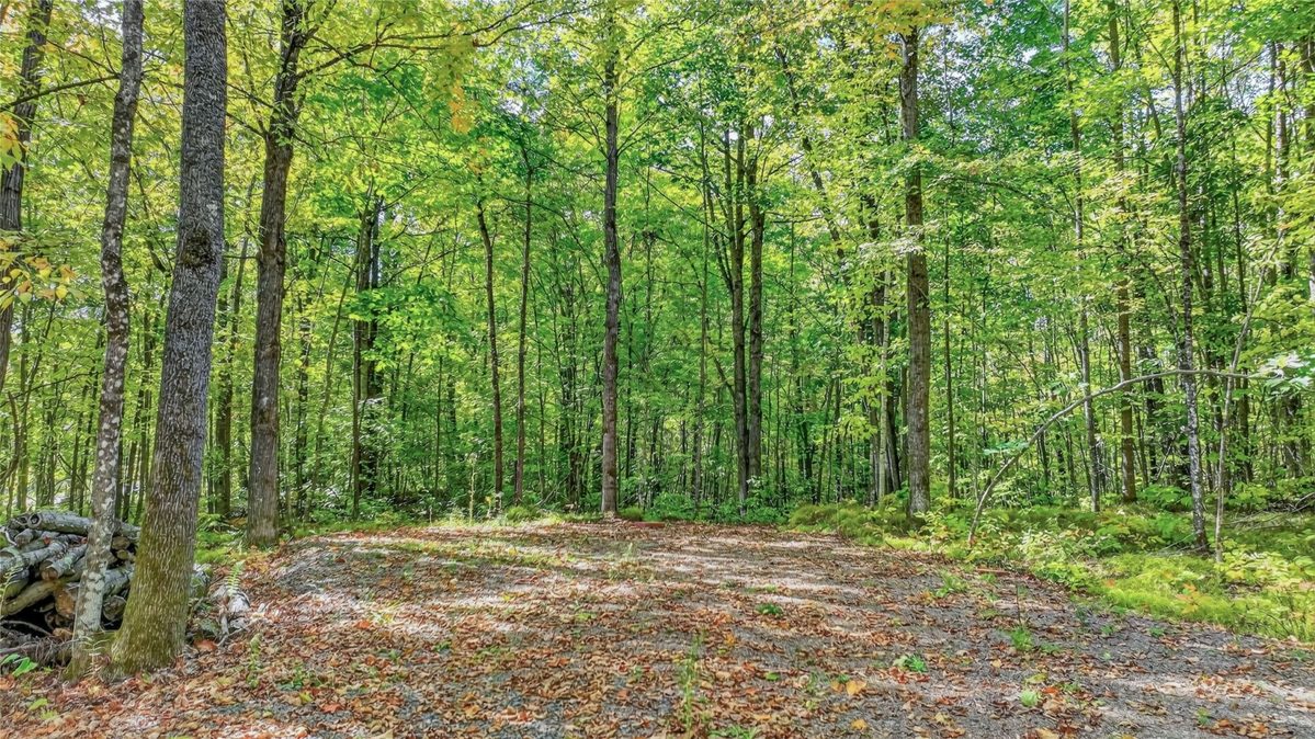 8087N Universal Drive, Winter WI 54896 - Land house for sale - MLS #1605404 - image5