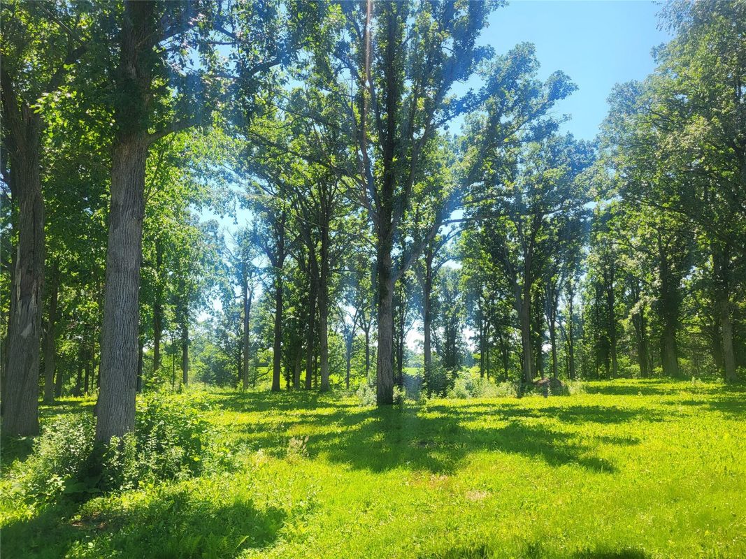 Lot 28 21st Street, Rice Lake WI 54868 - Land house for sale - MLS #1603229 - image2