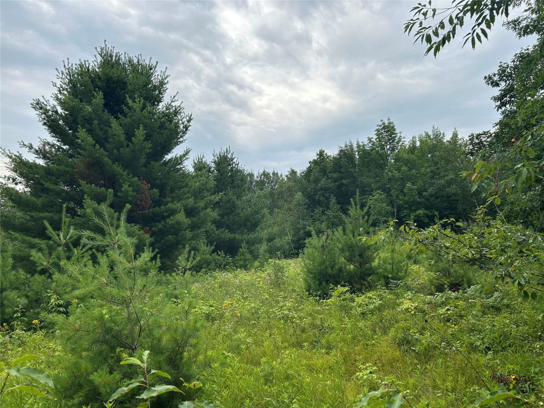 On Strabel Road, Stone Lake WI 54876 - Land house for sale - MLS #1604177 - image13