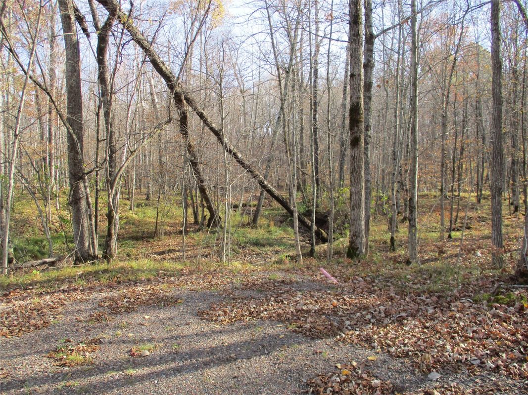 LOT #25 Lakeshore Drive & 28 1/8 Street, Birchwood WI 54817 - Land house for sale - MLS #1605905 - image5
