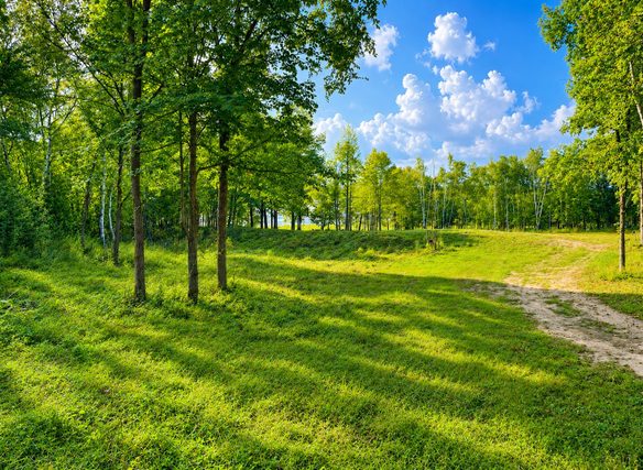110 90th Avenue, Clayton WI 54004 - Land house for sale - MLS #1604843 - image1