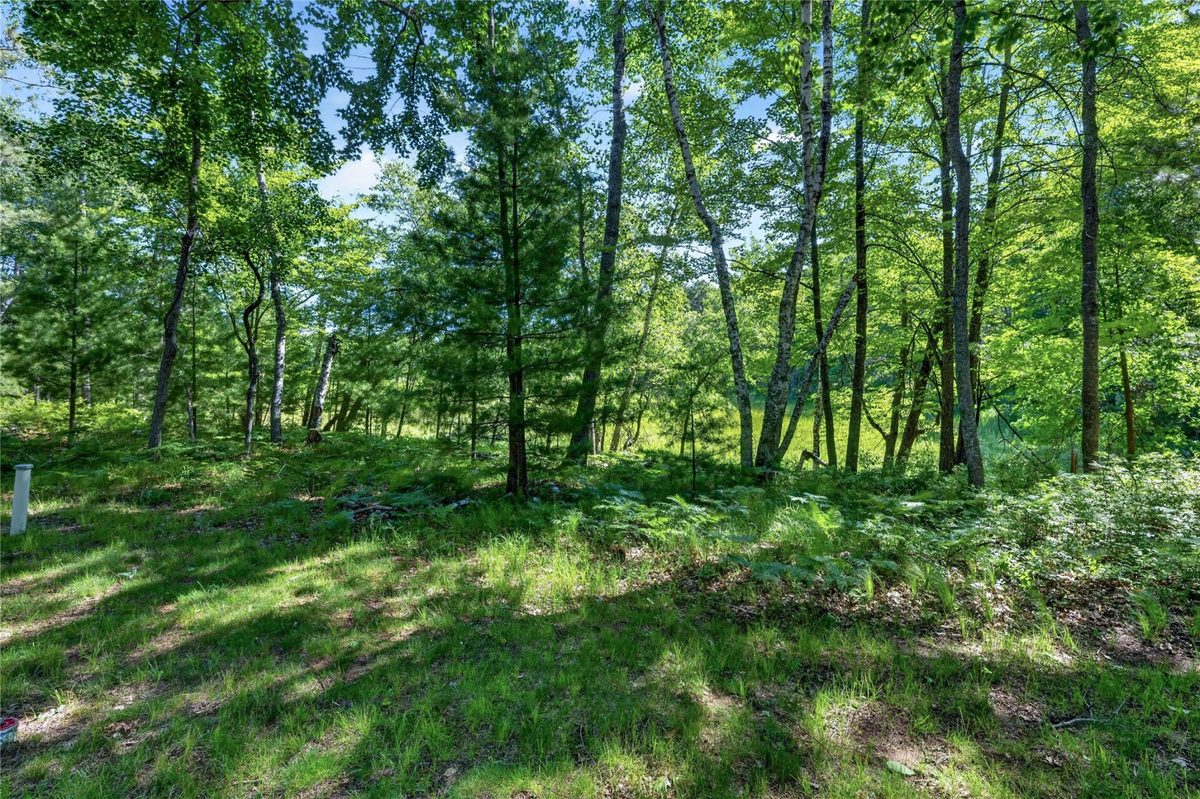 3670 Deer Lodge Drive, Danbury WI 54830 - Residential house for sale - MLS #1602593 - image27