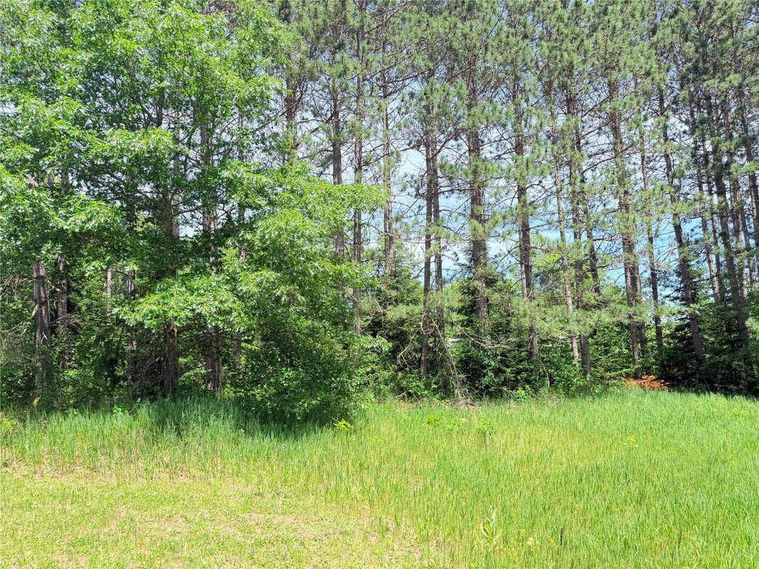 W11097 Boat Landing Road, Ladysmith WI 54848 - Land house for sale - MLS #1605411 - image12