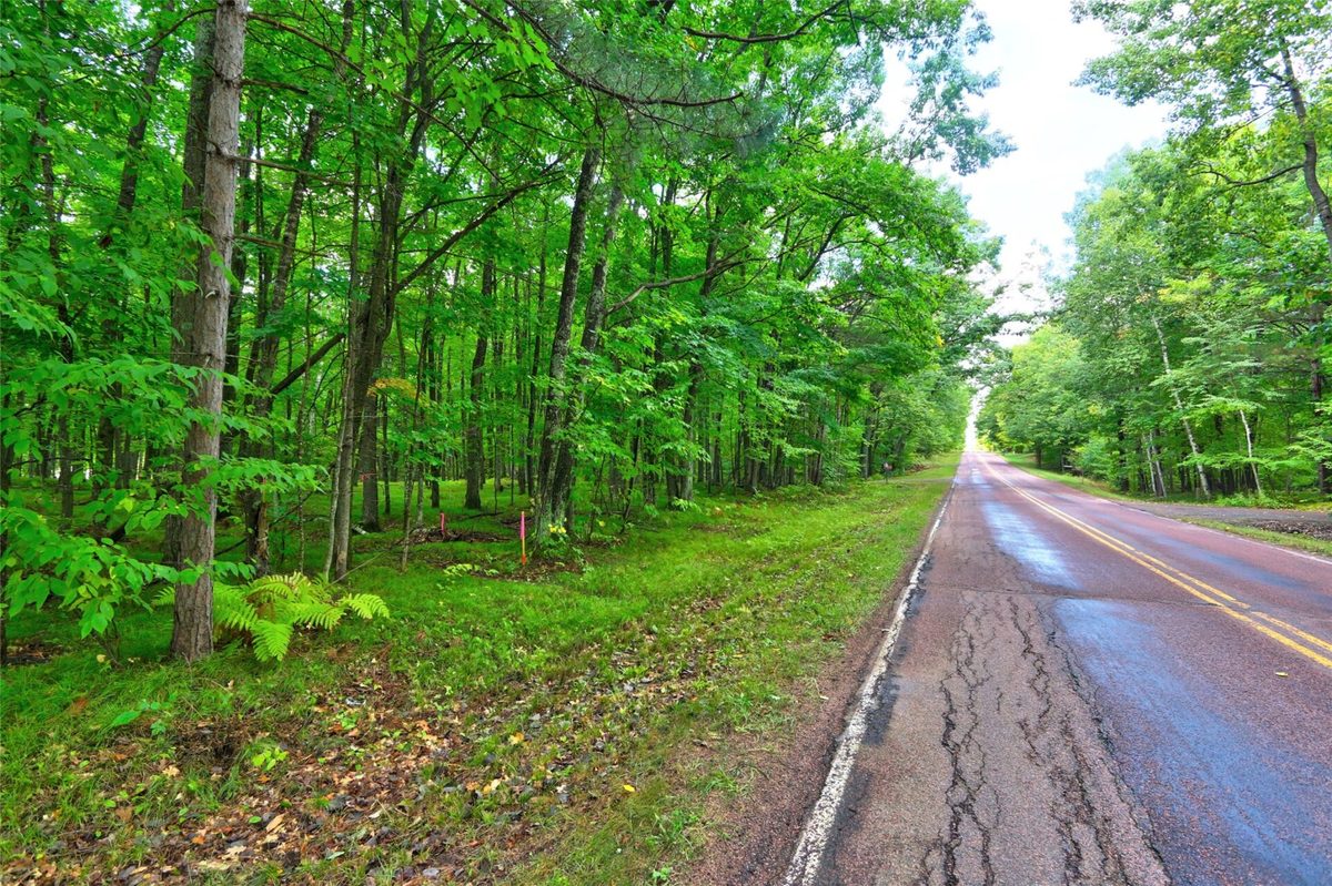 0 Twin Lake Road, Hayward WI 54843 - Land house for sale - MLS #1605254 - image9