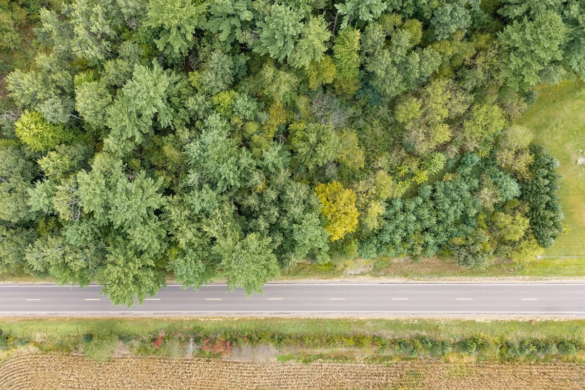 Lot 2 County Hwy X, Cadott WI 54727 - Land house for sale - MLS #1605345 - image9