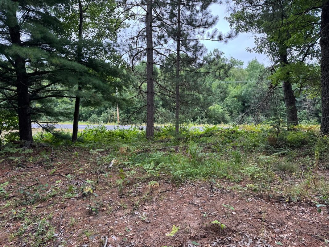 N8004 Cty Hwy A, Spooner WI 54801 - Land house for sale - MLS #1604449 - image4